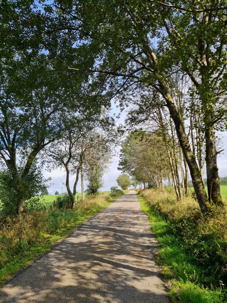 eifel_4.jpg