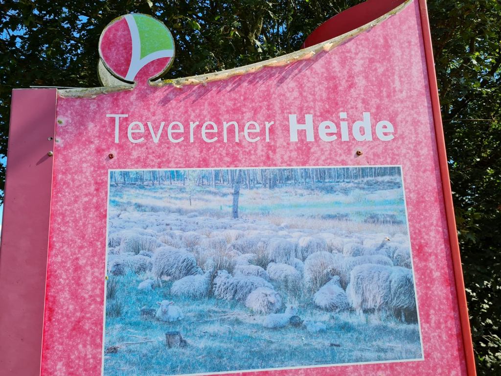 heide.jpg