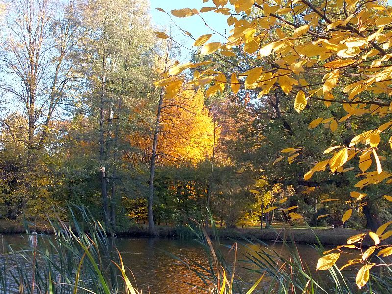 herbst03.jpg