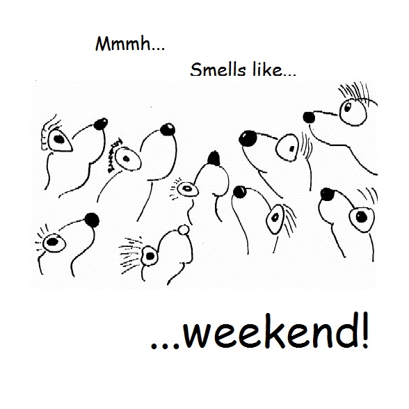 5ae463f6663a_smells_like_weekend.jpg