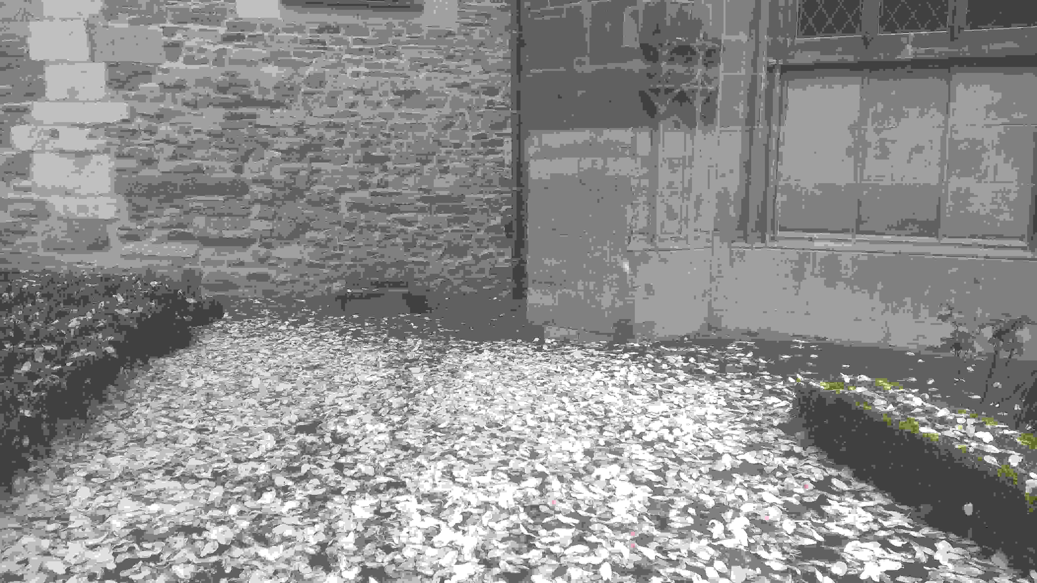 wp_20220331_11_51_31_proa.jpg