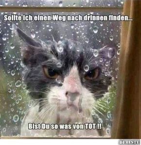 8bd65b0a-b48c-4ee0-b72b-1dd15ae1a434.jpeg