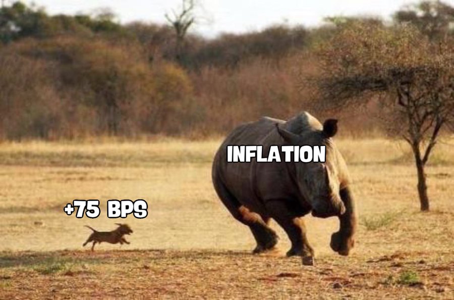 dotzbsyxyu591.jpg