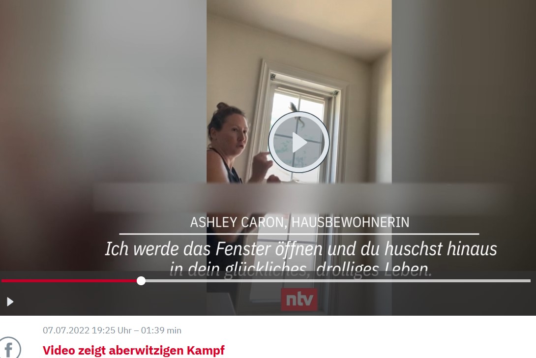streifenh__rnchen.jpg