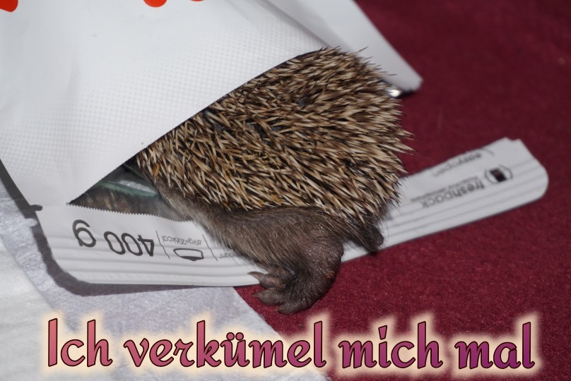 ich_verkr__mel_mich_mal.jpg