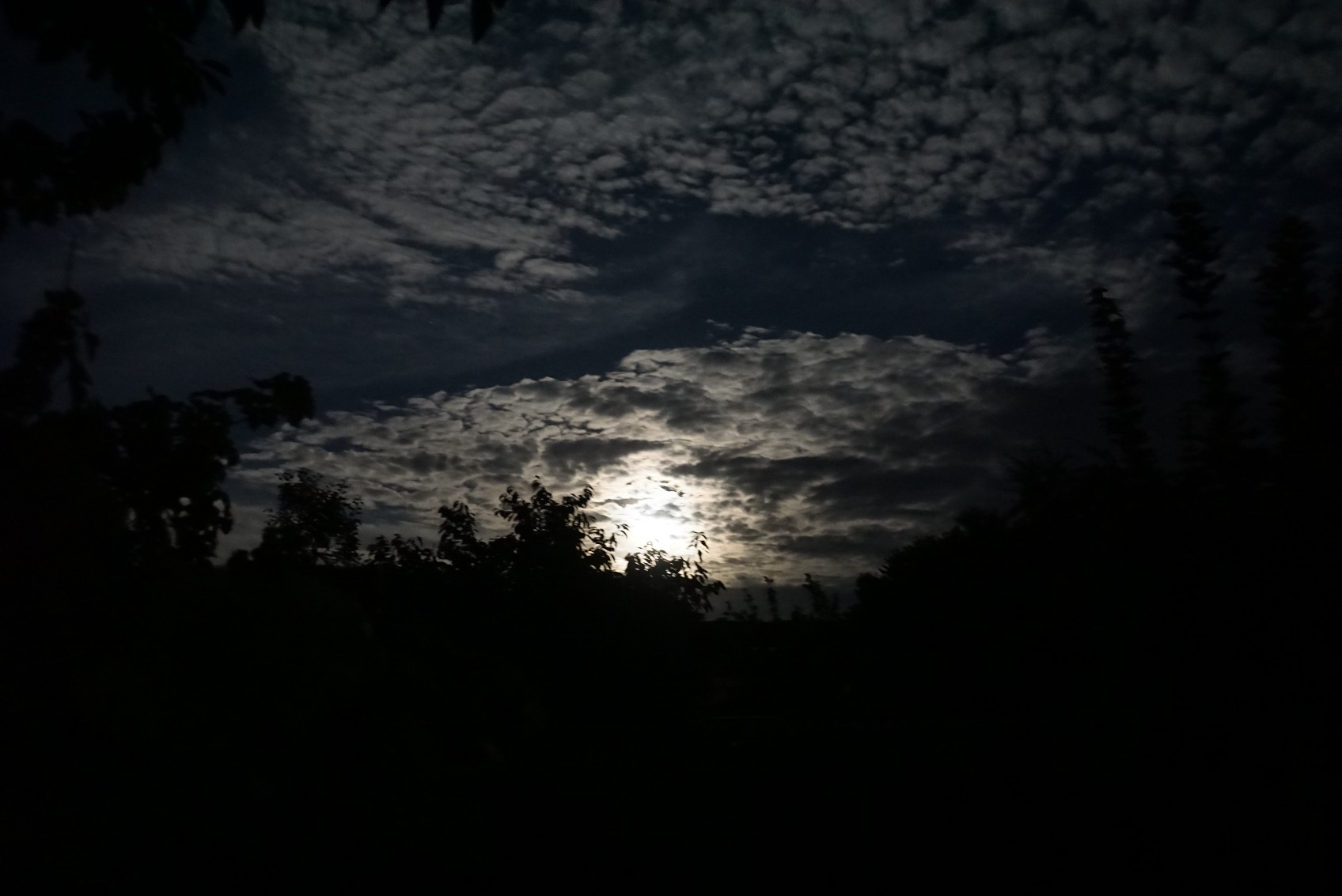 vollmond2_juli_2022.jpg