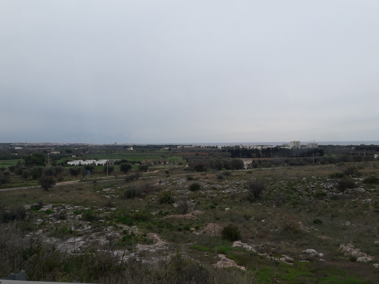 20221127_121509.jpg
