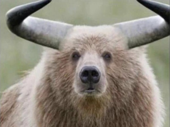 finally_bulls_are_coming_in.jpg