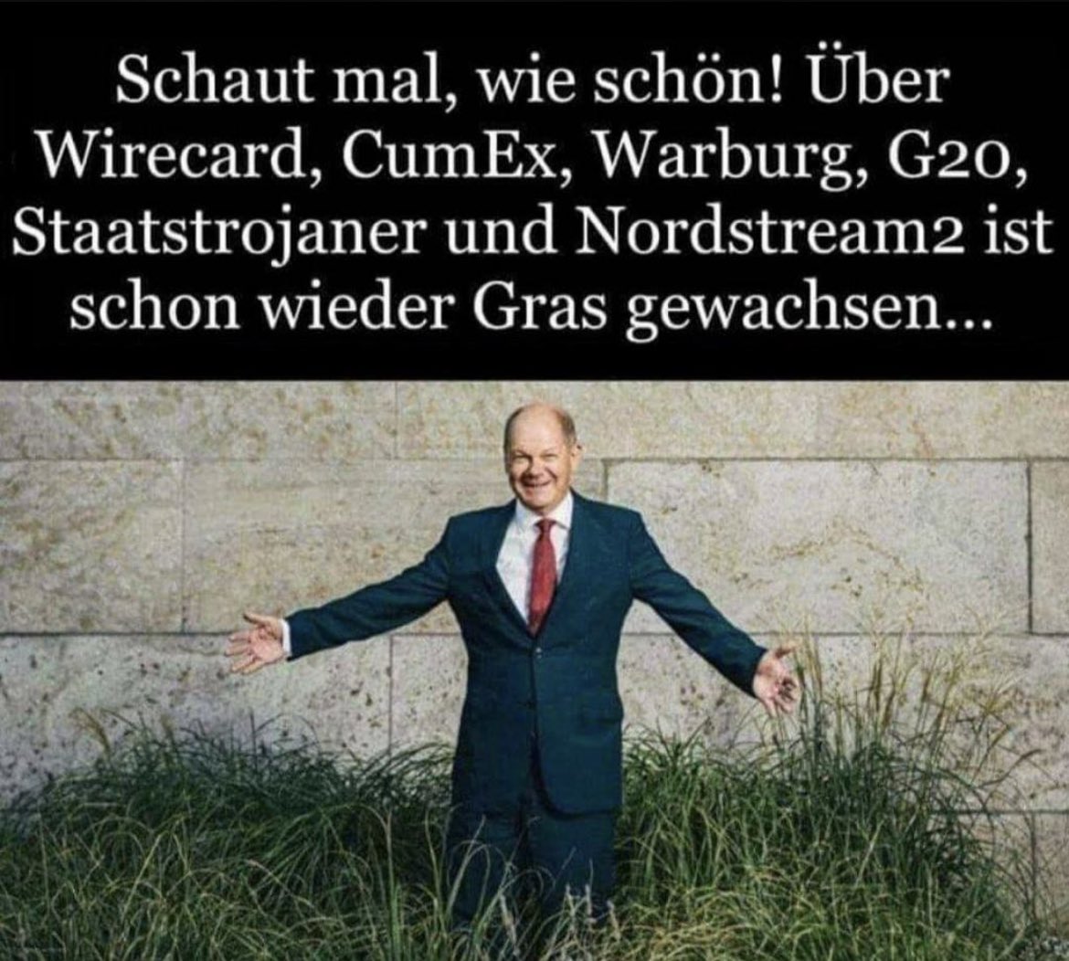 grasgewachsenscholz.jpg