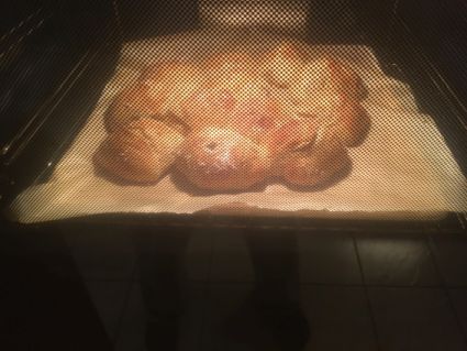 img_0809backofen.jpg