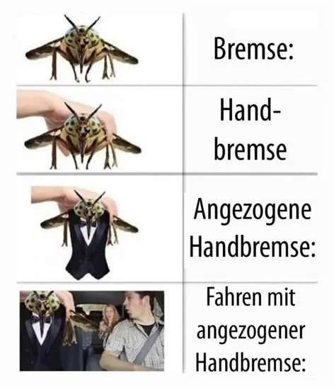daxine.jpg