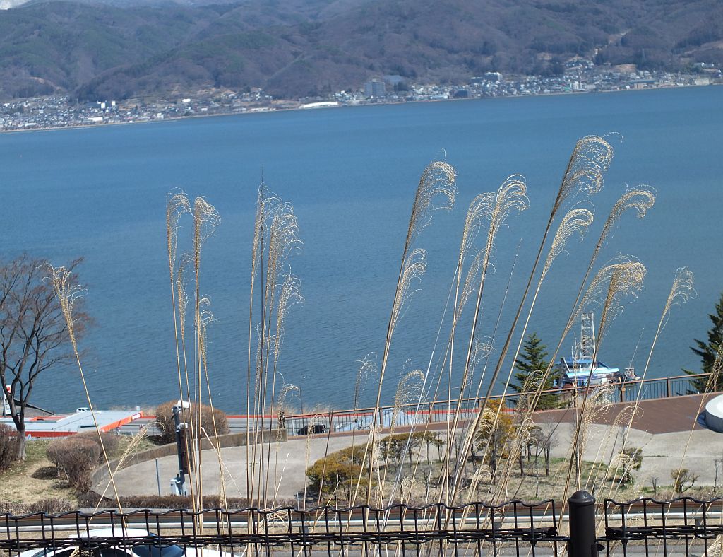 jap_s_11.jpg