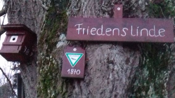 20221224_164053friedenslinde_oberj.jpg