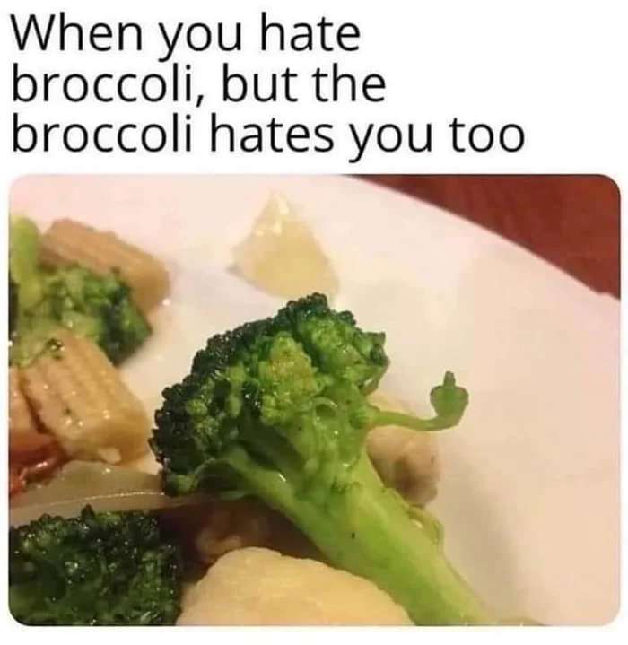 k__se.jpg