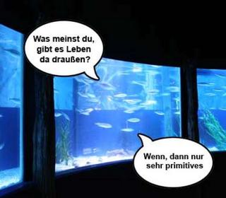 fische.jpg