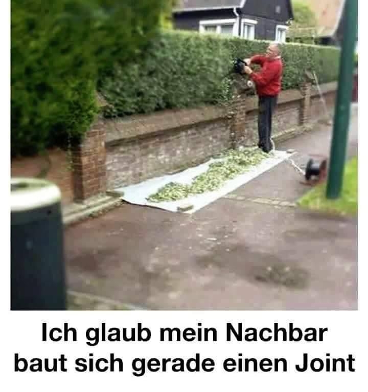 attachment-31918714.jpeg