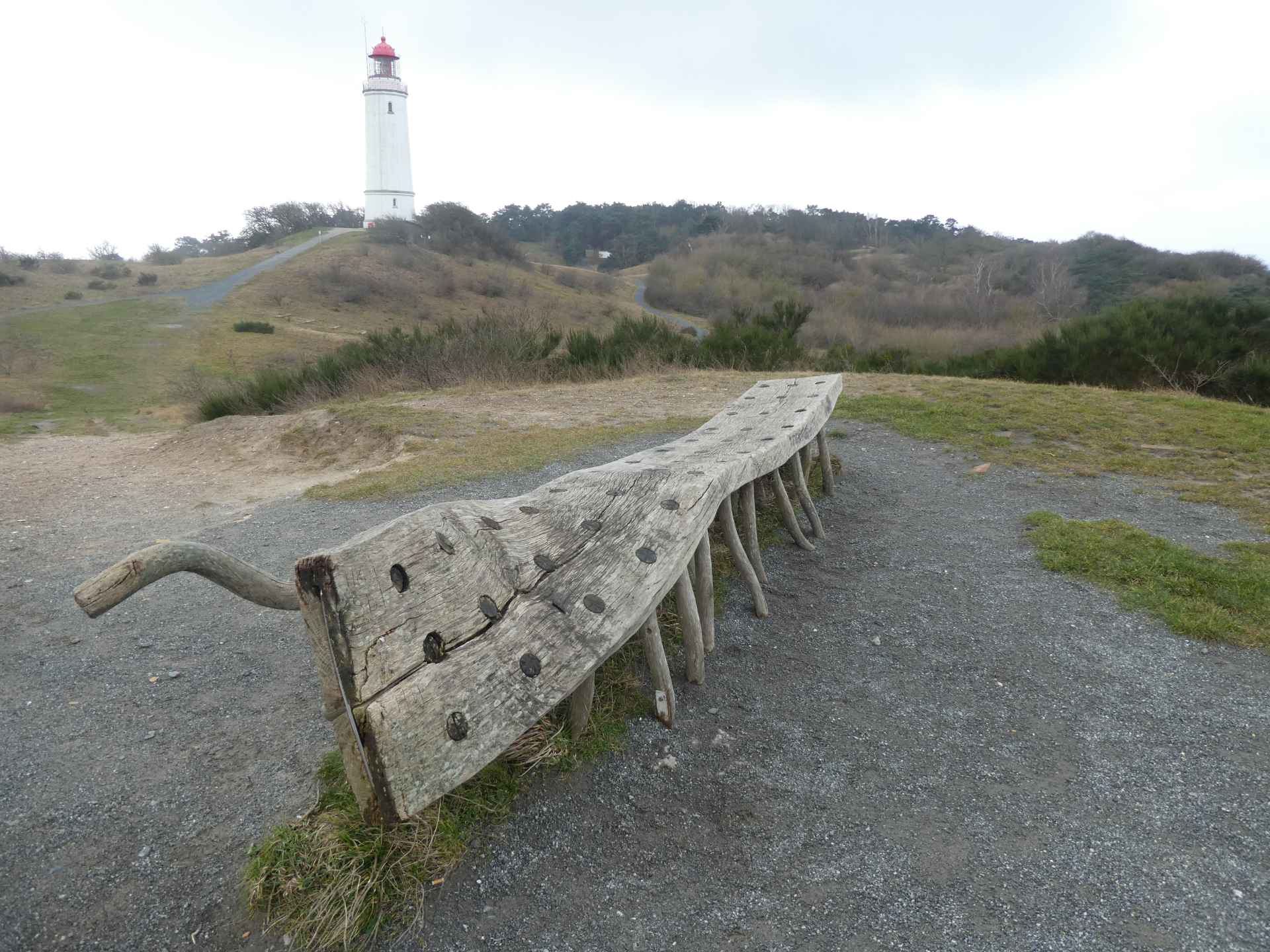 p1010179.jpg