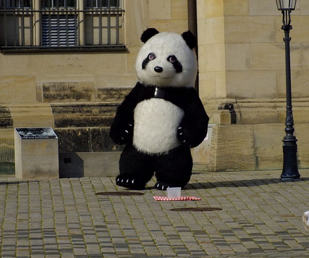 panda.jpg