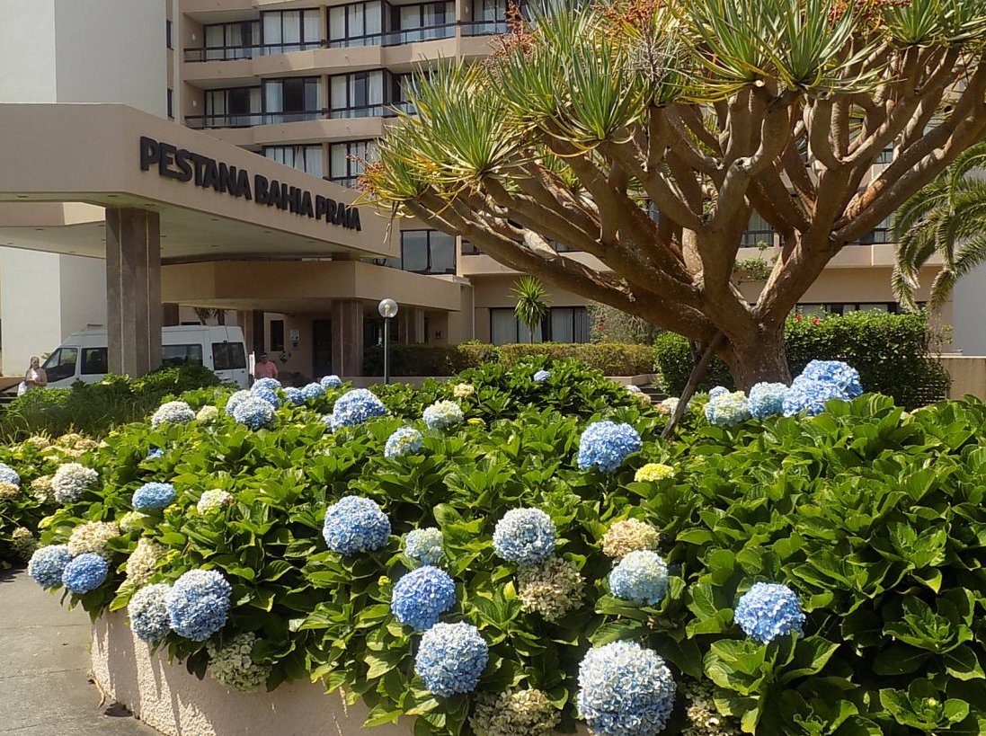 1pestana_bahia_praja_-_kopie.jpg