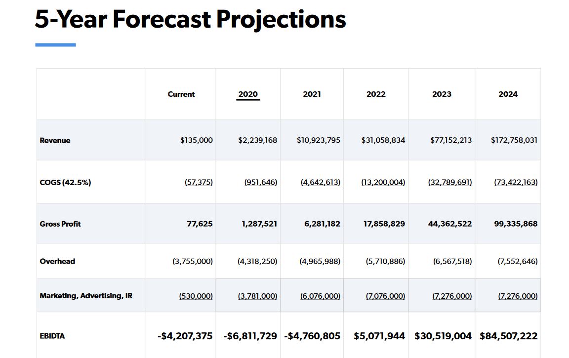 nc_investor_deck_2019_5_years_forecast.jpg