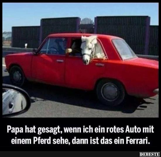 rotes_auto__pferd__ferrari.jpg