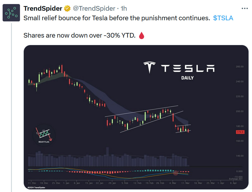 2024-03-12_trendspieder_tesla_relief_bounce.jpg