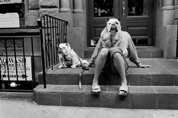 elliot_erwitt_02.jpg