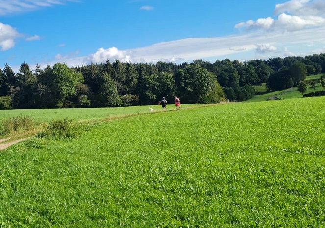 unechte_wolken.jpg