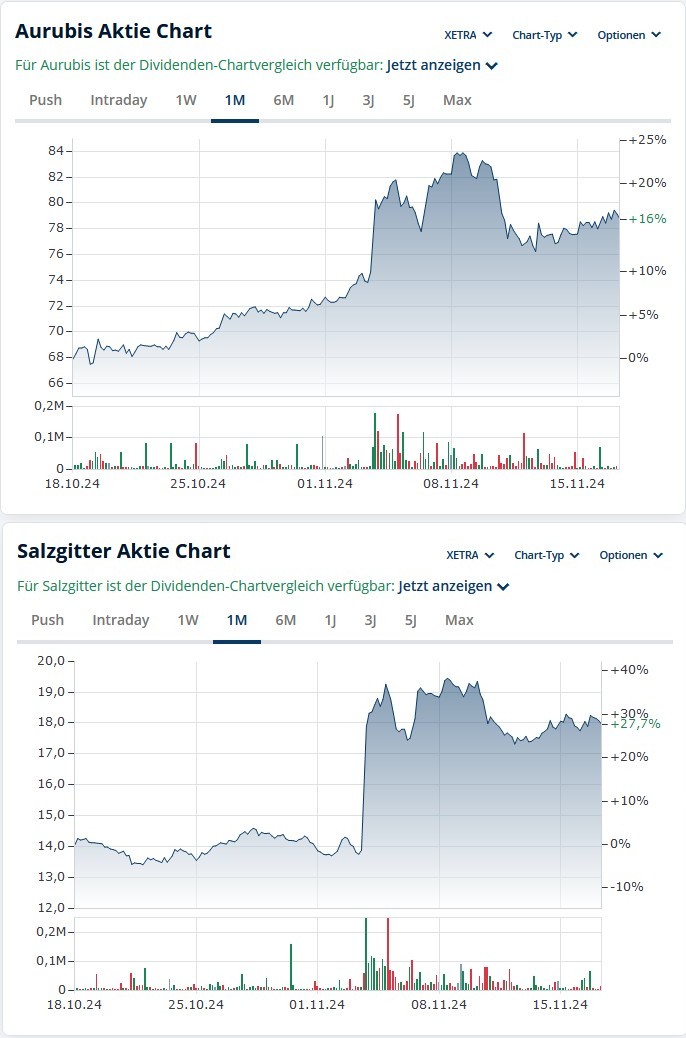 salzrubis.jpg