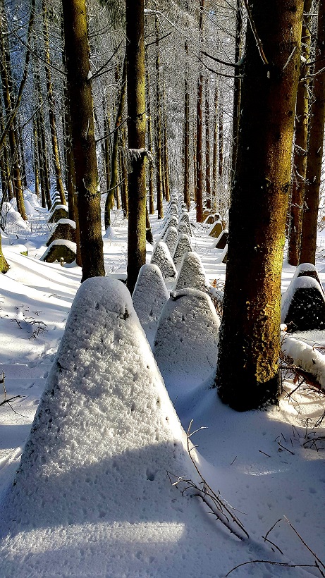 h__ckerlinie_im_schnee.jpg