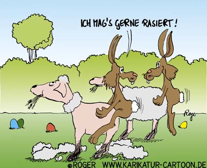 schaf.jpg