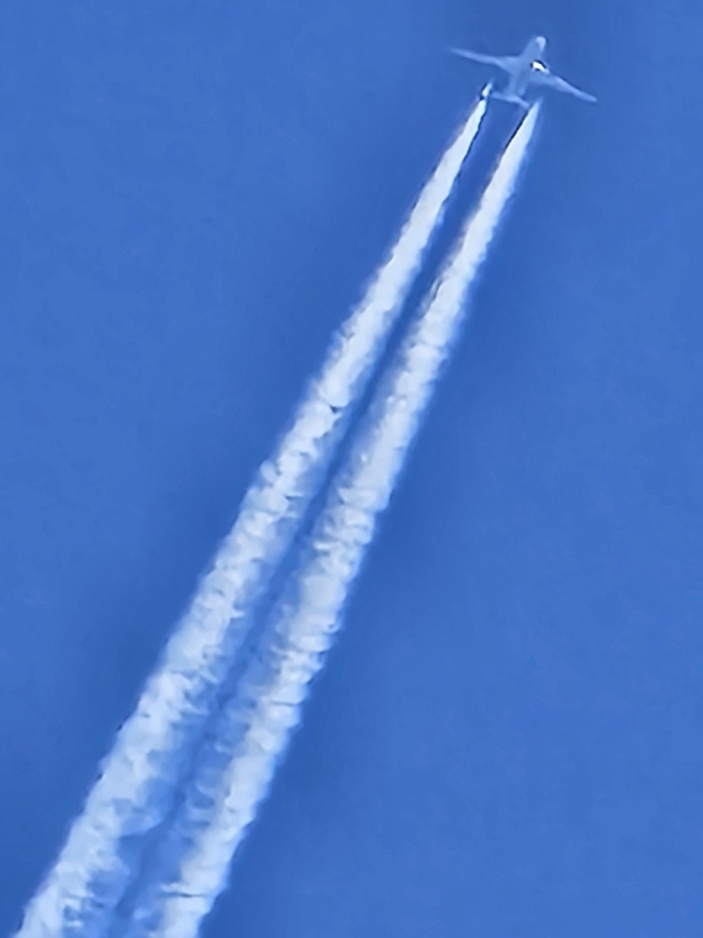 20250427_145028.jpg