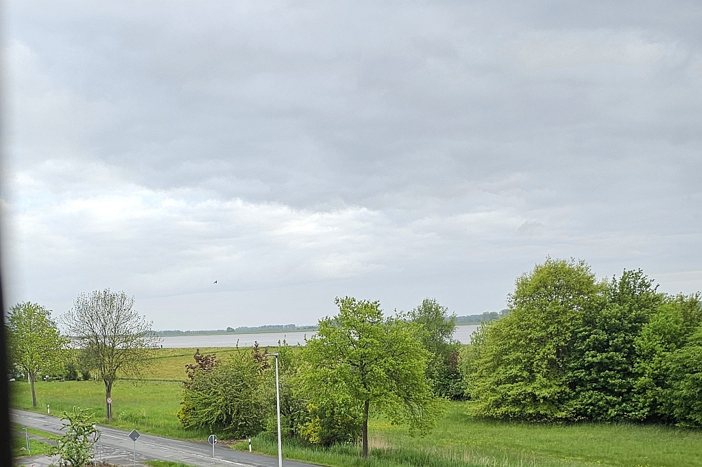 20250504_073632.jpg