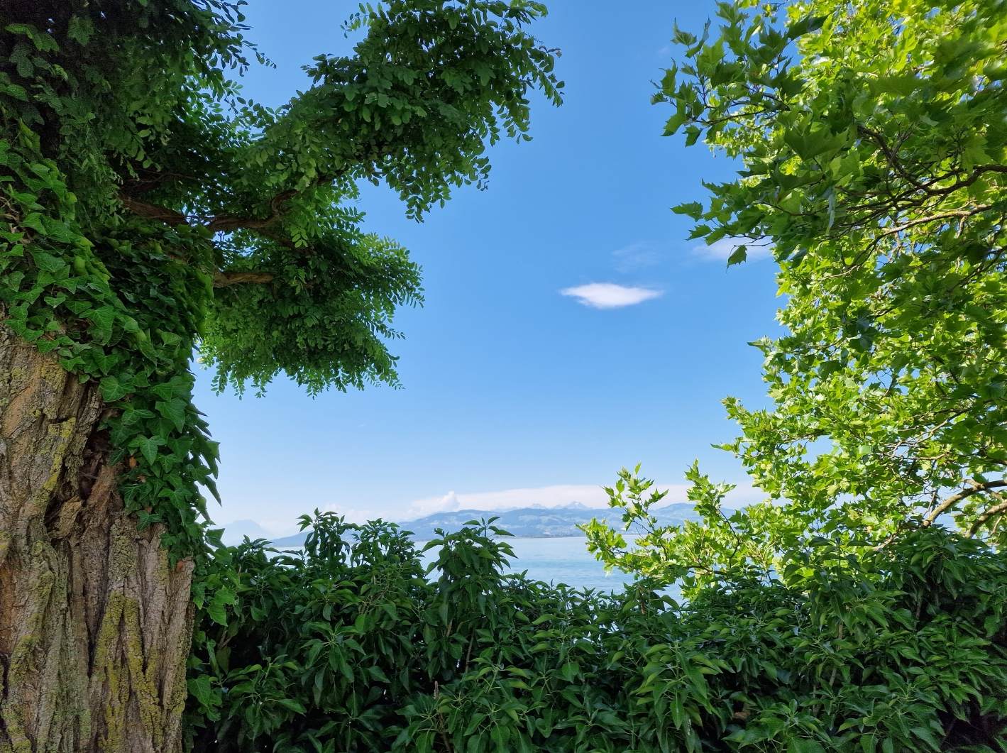 natur_und_himmel_mai_2025.jpg