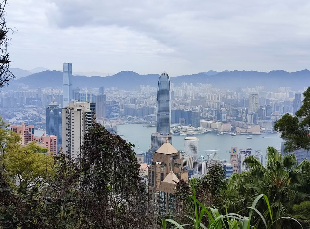 hong_01.jpg