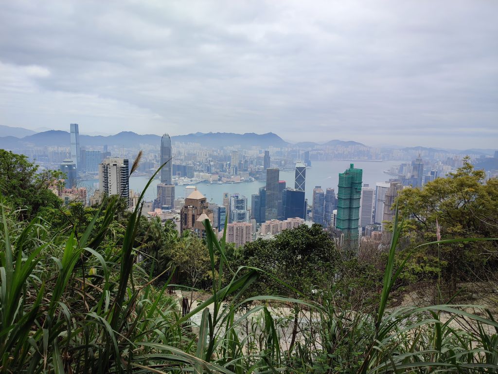 hong_02.jpg