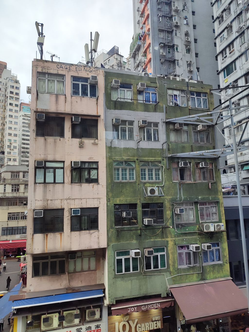 hong_05.jpg