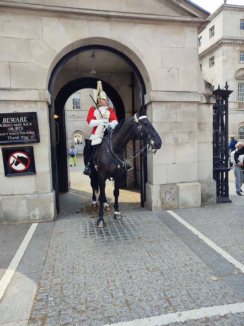 england_pferdewache_01.jpg