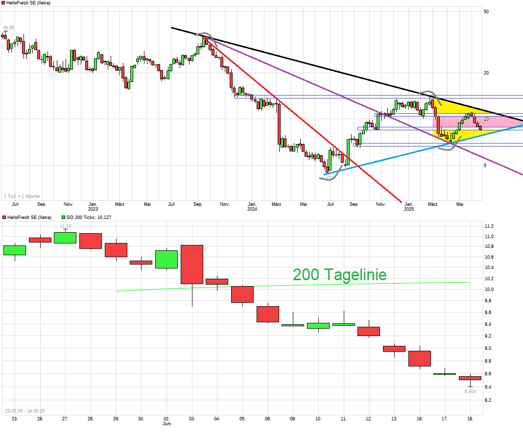 chart_3years_hellofreshse.png