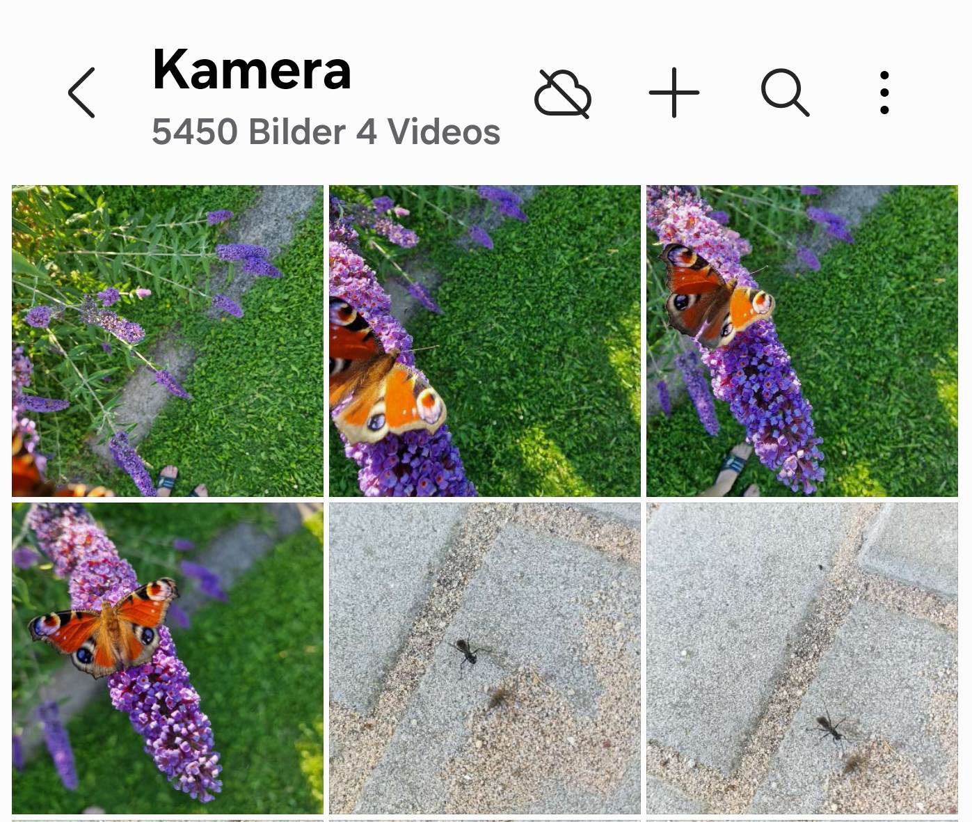screenshot_eigene_gallery_29.jpg
