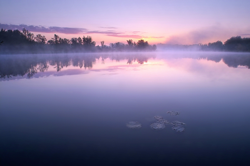 lobau.jpg