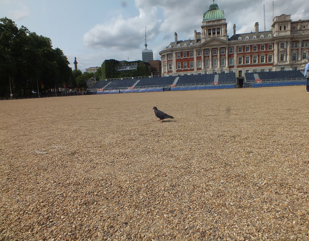 england_reitplatz.jpg