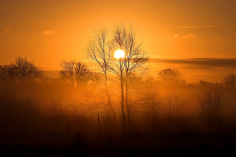 sonnenaufgang.jpg