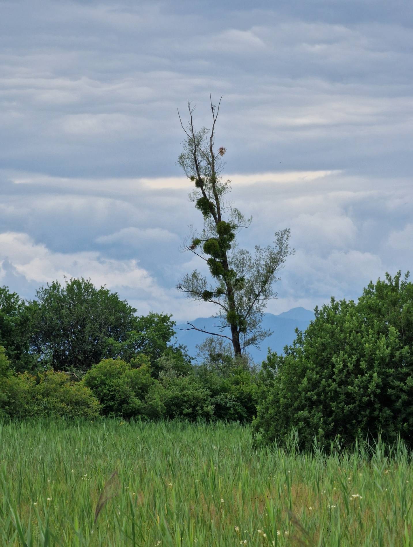 ammersee_11.jpg