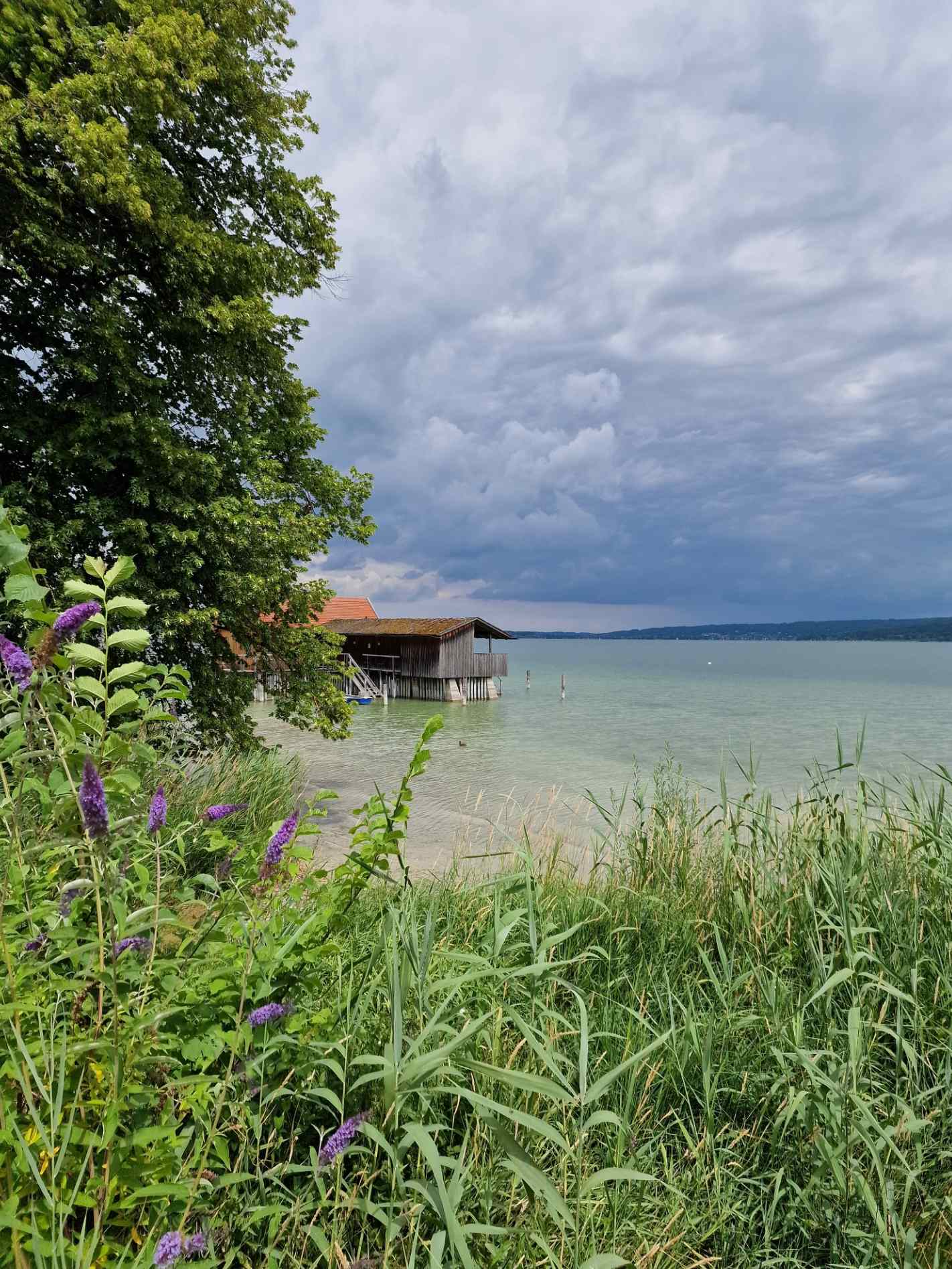 ammersee_11.jpg