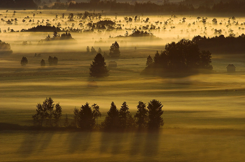 bodennebel.jpg