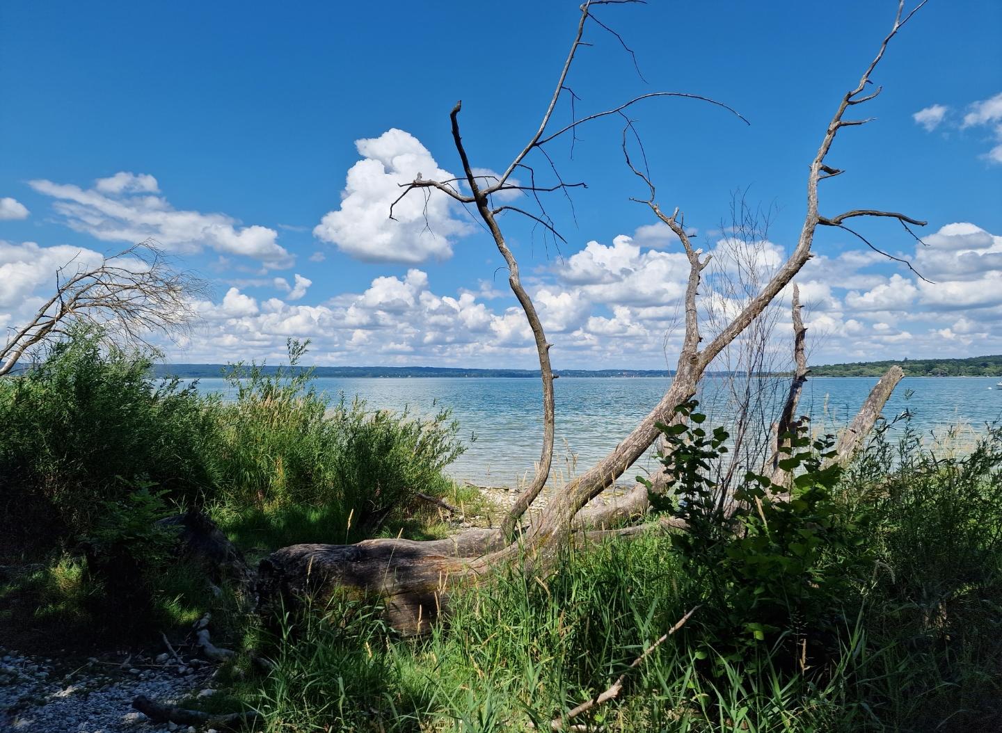 ammersee_12.jpg
