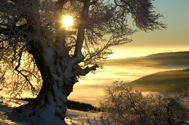 nebel-vor-der-rhoen.jpg