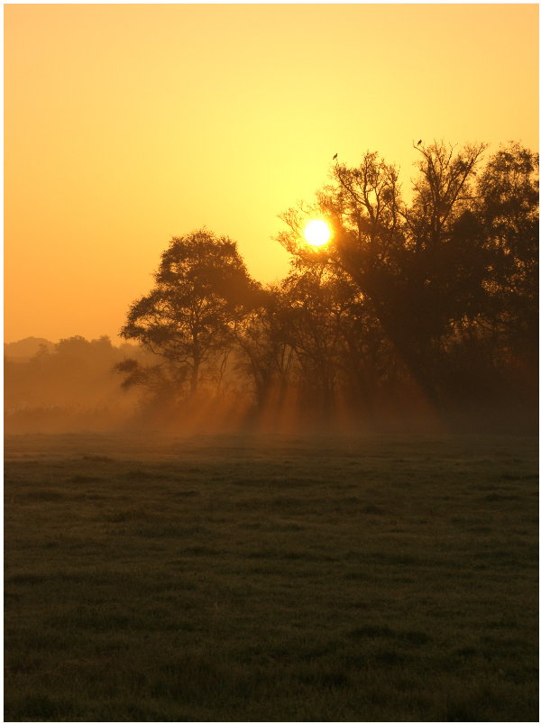 nebel-am-morgen.jpg