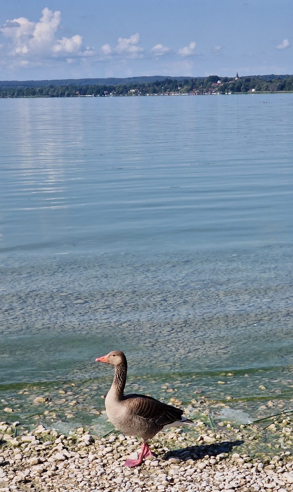ammersee_13.jpg